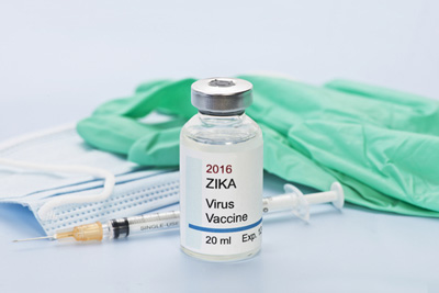 Zika DNA Vaccine