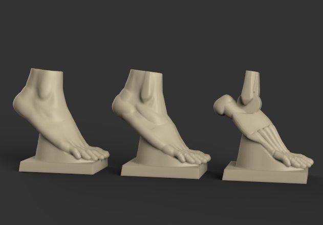 foot-reference-2-part-1-3d-model-stl