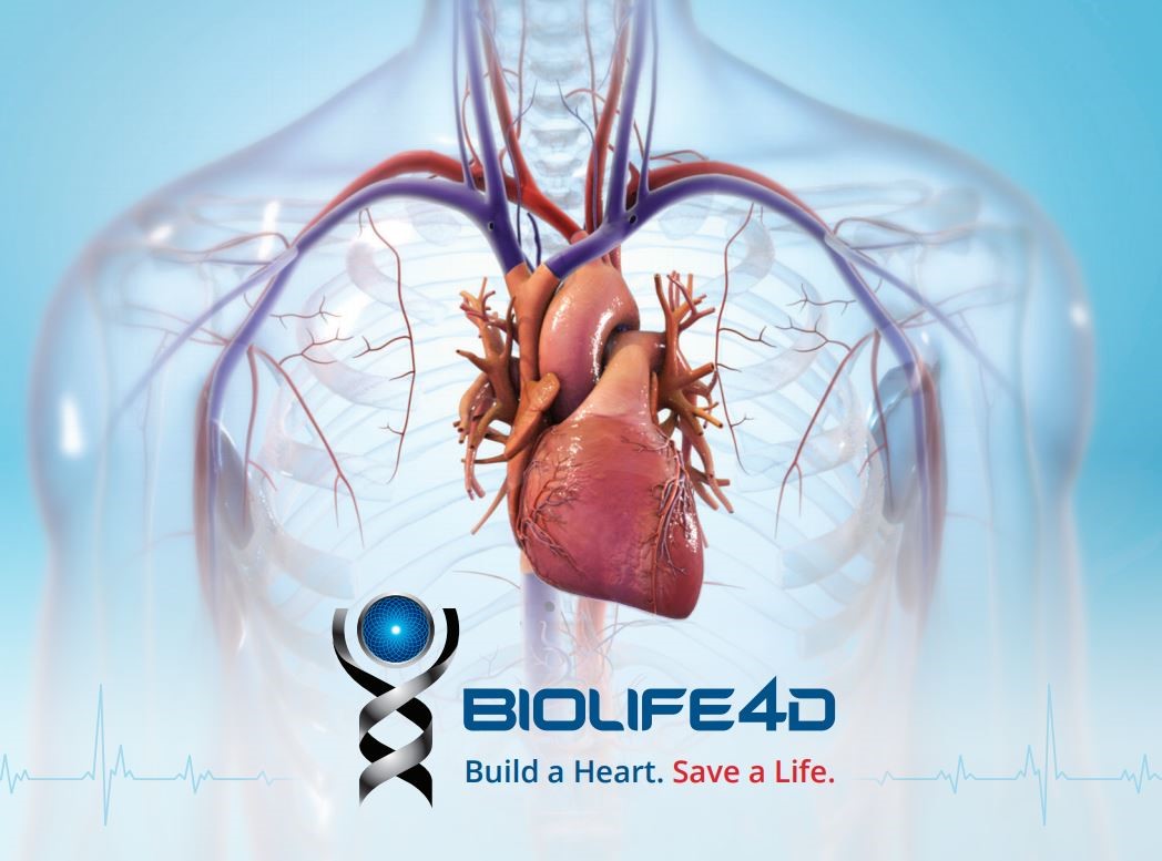 BIOLIFE4D Successfully 3D Bioprints Human Heart Tissue.