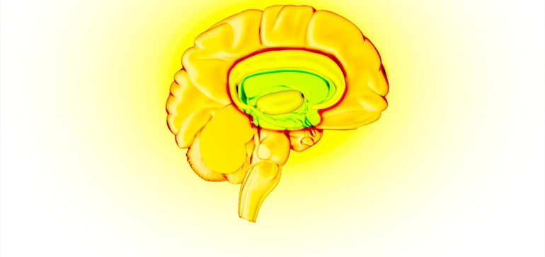 Light Therapy Concussion Treatment