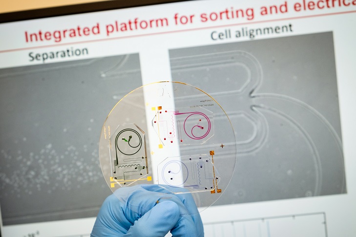 Lab on a chip to test health of white blood cells