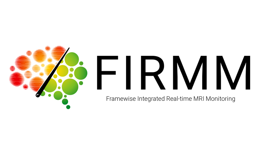 FIRMM LOGO